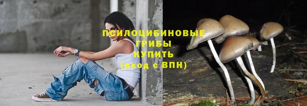 эйфоретик Кодинск