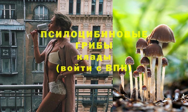 а пвп мука Козельск